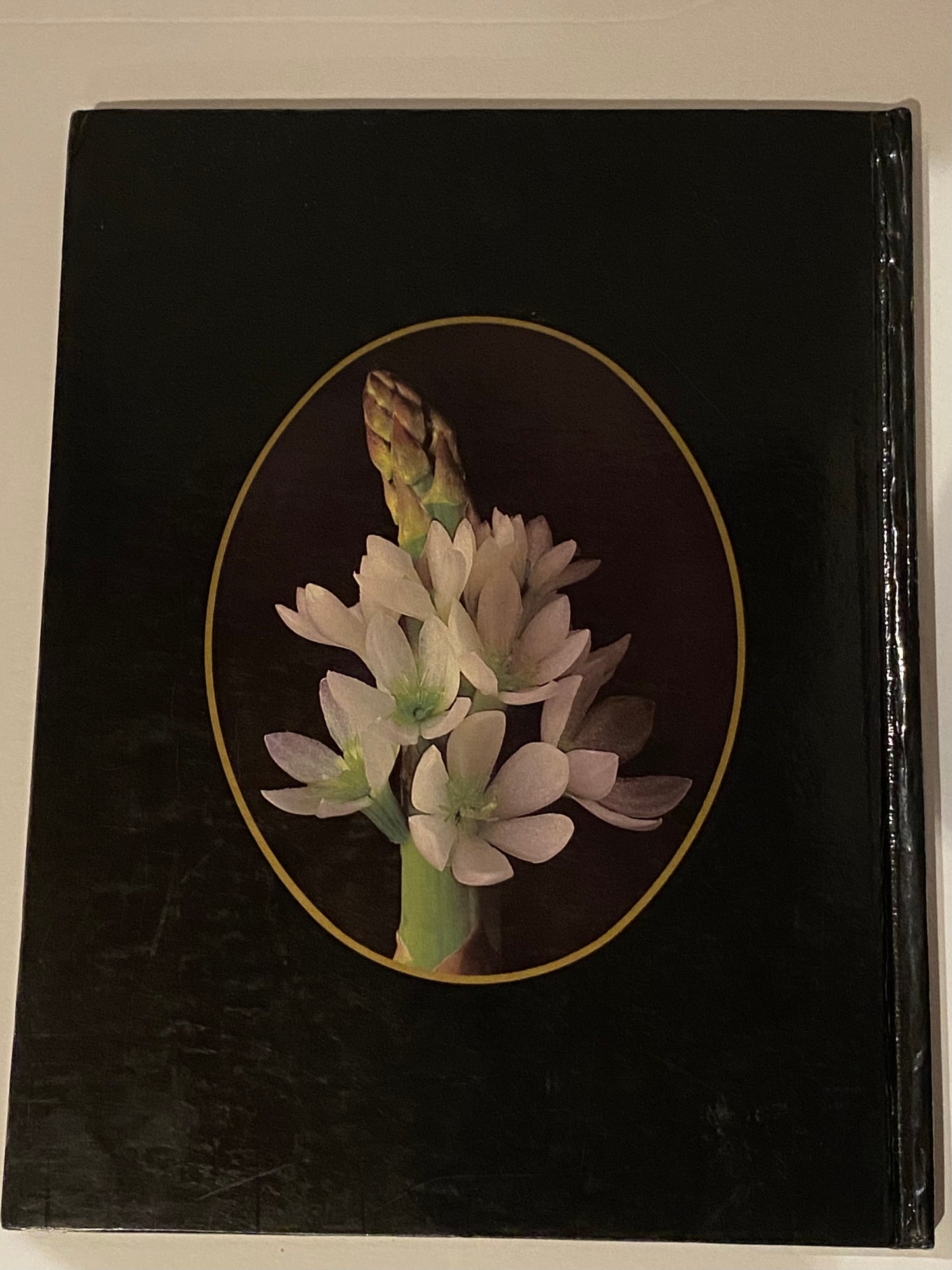 Elegant Touch Book Back