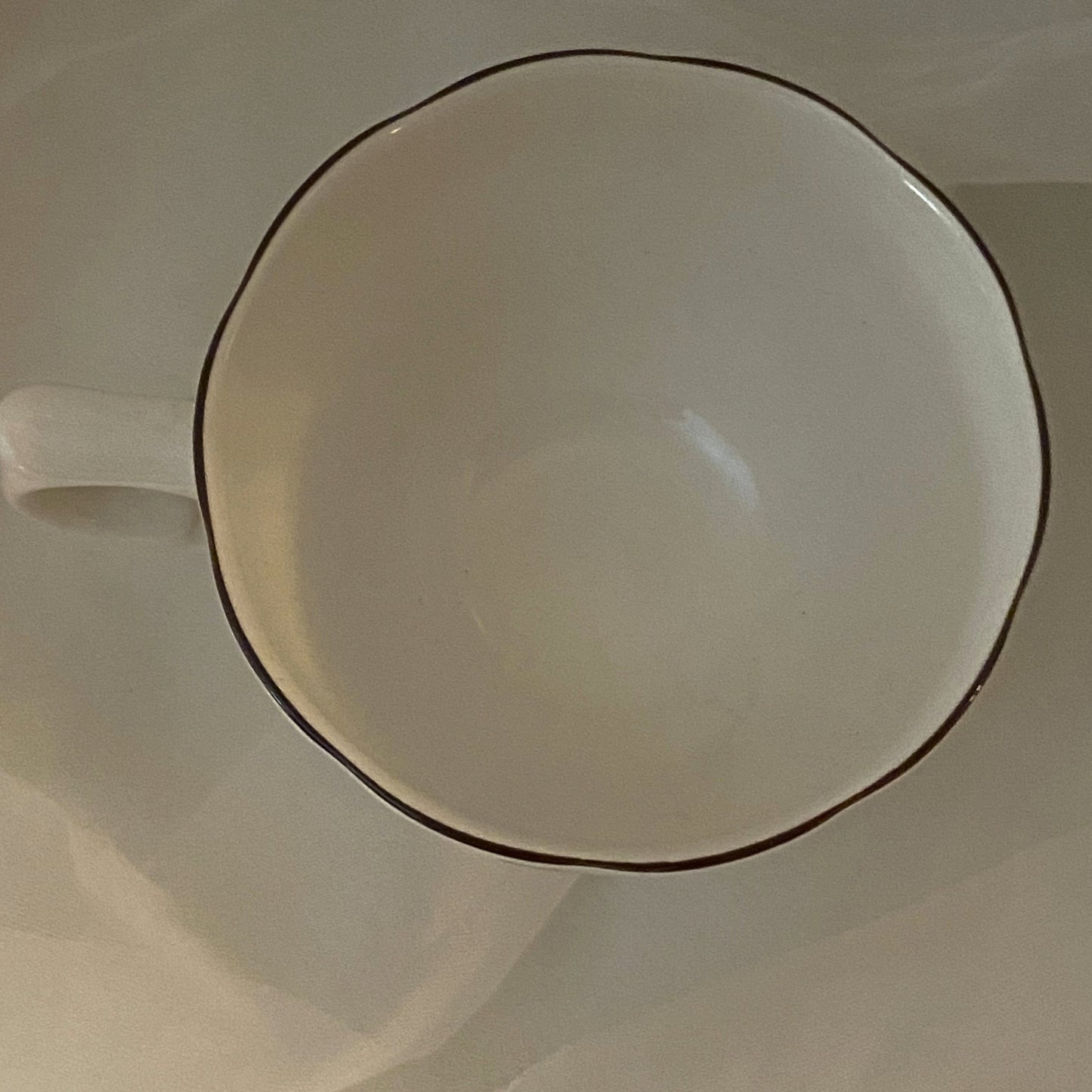 Nikko Greenwood Ivy Ceramic Flat Cups