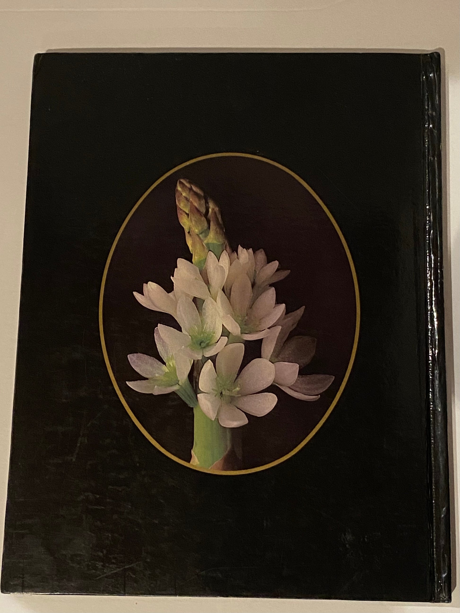 Elegant Touch Book Back